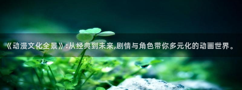 age动漫