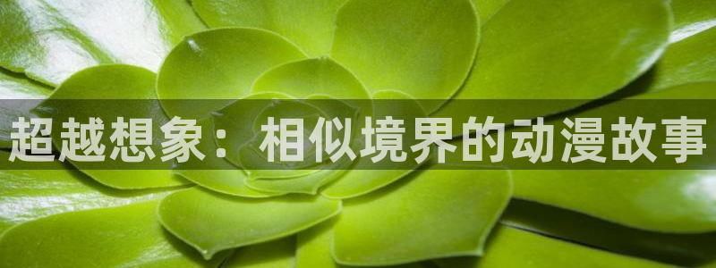 age动漫官网入口老版本