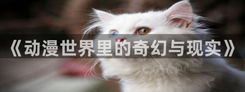 age动漫网上看