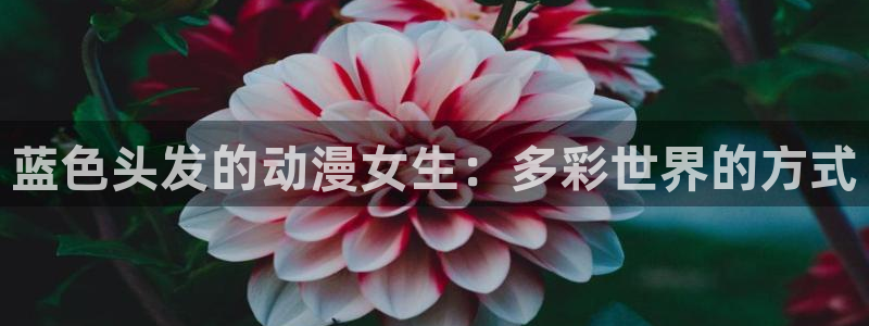age动漫官网网址