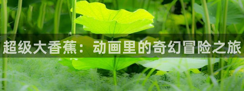 age动漫官网版入口