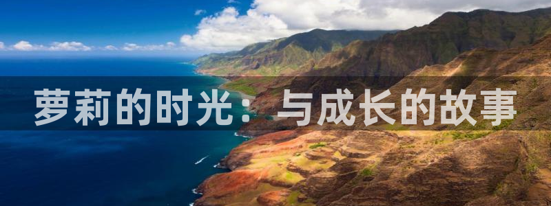 age动漫网