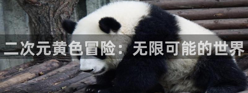 age动漫omofun：二次元黄色冒险：无限可能的世界
