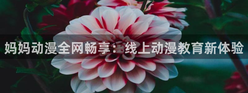 age动漫网上看