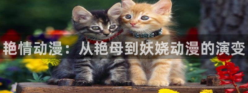 age动漫网