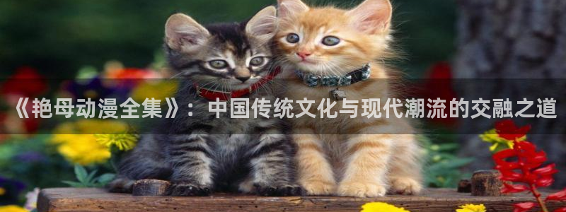 age漫画网