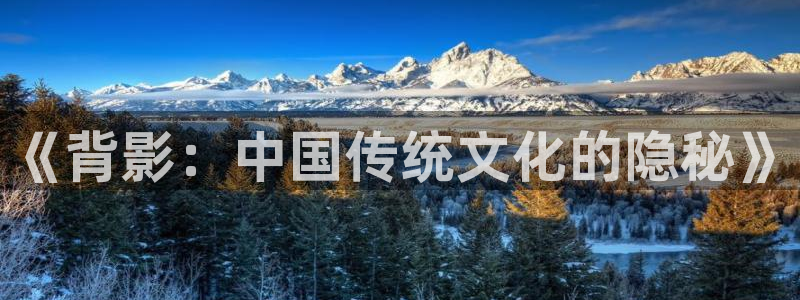 lovestage漫画免费阅读：《背影：中国传统文化的隐秘》