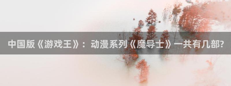 age动漫网：中国版《游戏王》：动漫系列《魔导士》一共有几部?