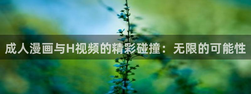 age动漫官网版入口：成人漫画与H视频的精彩碰撞：无限的可能性