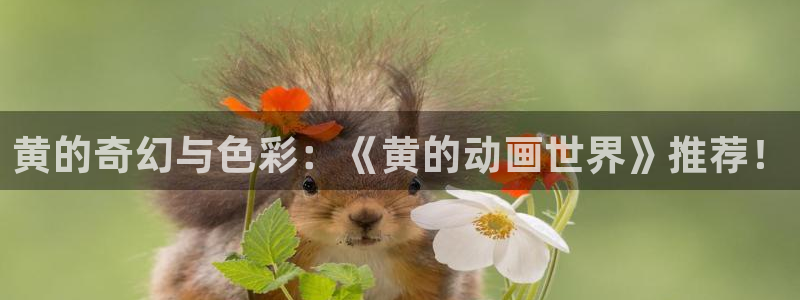 age樱花动漫：黄的奇幻与色彩：《黄的动画世界》推荐！