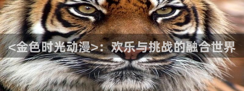 age动漫下载网：<金色时光动漫>：欢乐与挑战的融合世界
