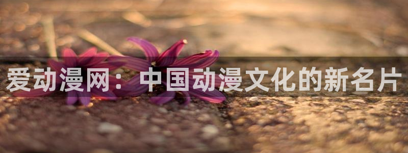 age漫画网：爱动漫网：中国动漫文化的新名片