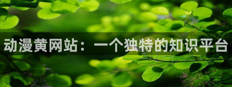 age动漫官网入口老版本：动漫黄网站：一个独特的知识平台