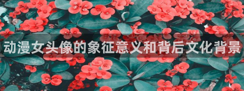 age动漫正版网：动漫女头像的象征意义和背后文化背景