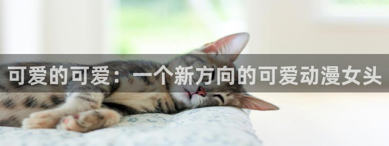age动漫：可爱的可爱：一个新方向的可爱动漫女头