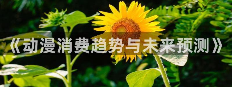 age动漫官网网址：《动漫消费趋势与未来预测》