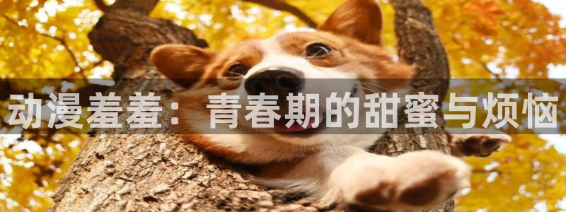 age樱花动漫：动漫羞羞：青春期的甜蜜与烦恼