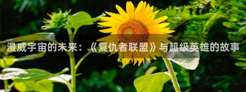 age漫画网：漫威宇宙的未来：《复仇者联盟》与超级英雄的故事