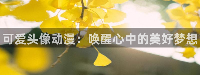 age动漫