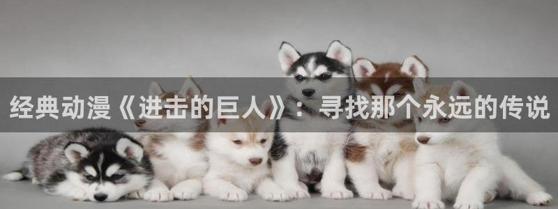 age动漫官网在线入口