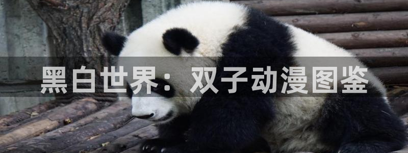age动漫下载入口
