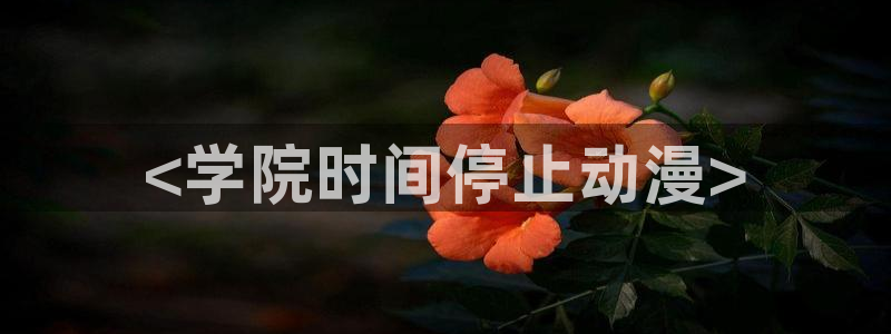age动漫下载网