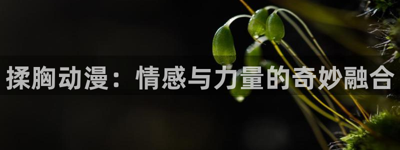 age动漫官网入口老版本