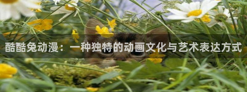 age动漫下载入口