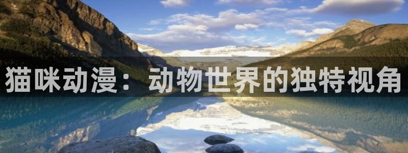 age动漫下载网：猫咪动漫：动物世界的独特视角
