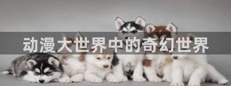 age动漫正版网：动漫大世界中的奇幻世界