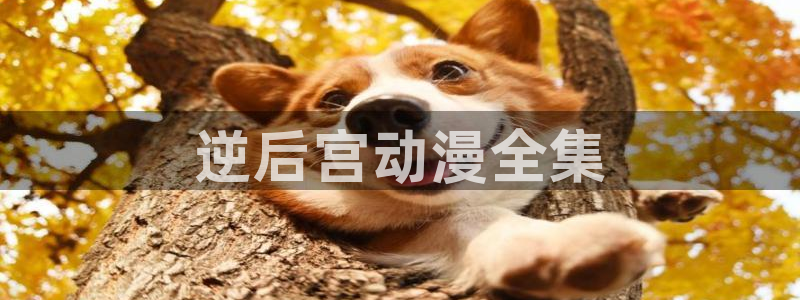 kakaopage韩漫官网：逆后宫动漫全集