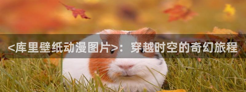 age动漫下载入口：<库里壁纸动漫图片>：穿越时空的奇幻旅程