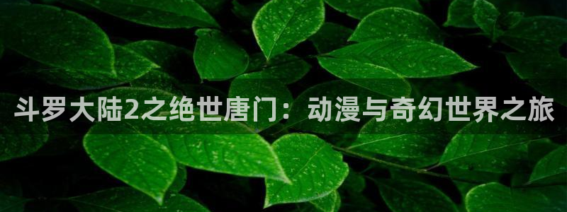 age动漫樱花：斗罗大陆2之绝世唐门：动漫与奇幻世界之旅